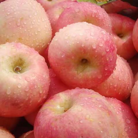 🎉特价回馈，海门邮乐食堂鲜品上市—果中佳品“大沙河苹果”，一口难忘，一路邮乐！