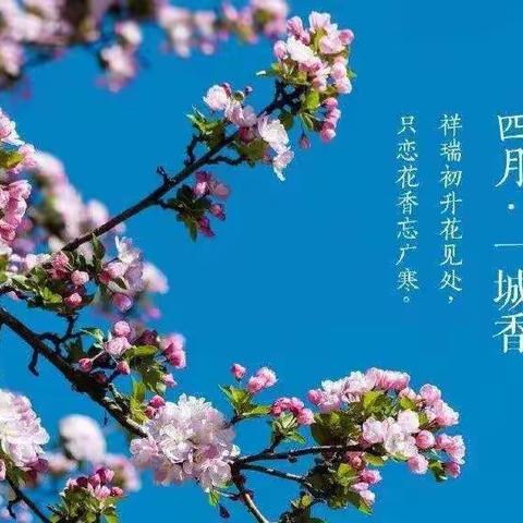 人间最美四月天🌻，春意盎然🍀，生机勃勃🌴——才湾镇中心幼儿园中一班四月份成长记录