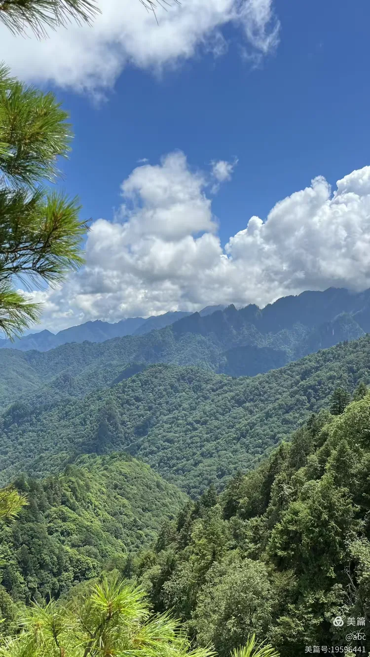 青川唐家河天气预报