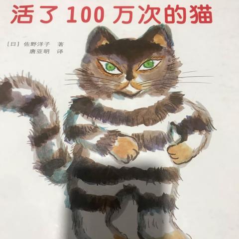 睡前故事《活了一百万次的猫》主讲：妞妞