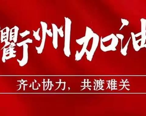 【疫情防控】黄家街道上草铺村村两委带领党员及志愿者严守疫情防控“第一线”