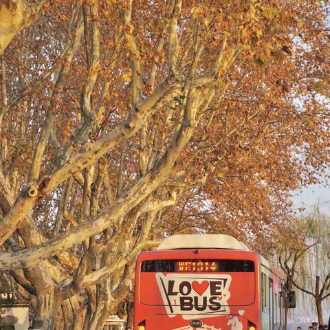 弟弟发来的杭州