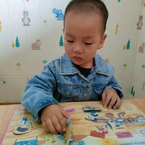 灏景园早期教育中心芽芽班李承威宝贝成长记录