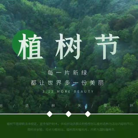 春风十里，正“植”有你——树人学校开展植树节主题活动