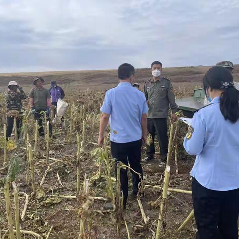 联合送法进基层  助力三秋保安全