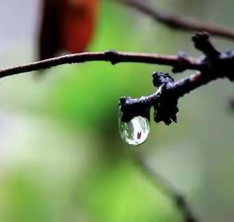 《春雨》