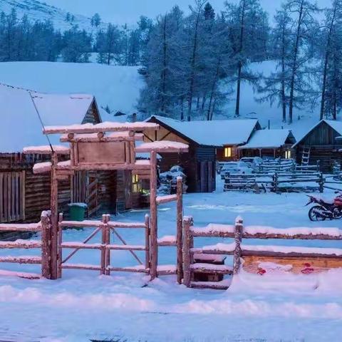 《飞雪迎春归》