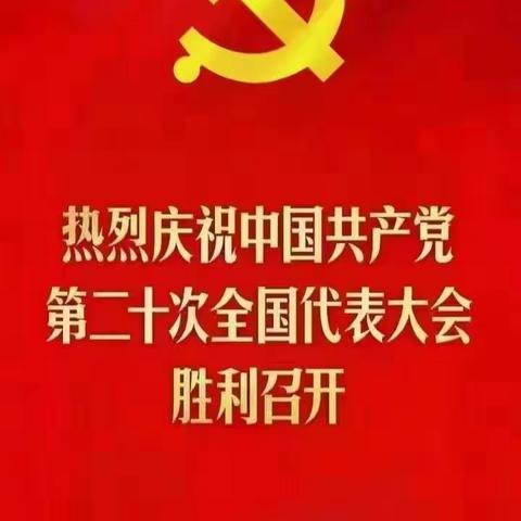 喜迎党的二十大，步履铿锵续华章