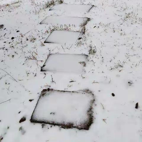 一场江南雪，静等到如今。