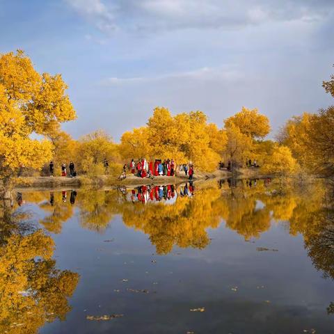 金秋胡杨美金塔