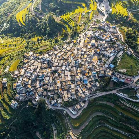 秋色渐浓苍台美