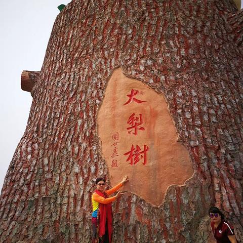 凤城大梨树和边门云竹花卉园一日游