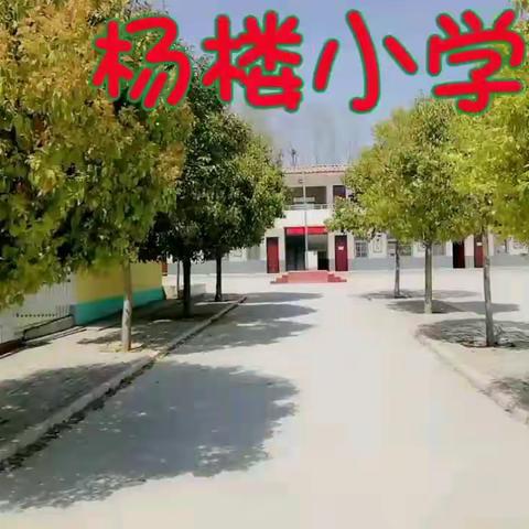 美好成长——沈寨镇杨楼小学停课不停学线上教学活动