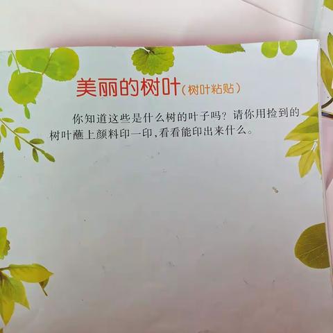 温馨小二班，《美丽的树叶》