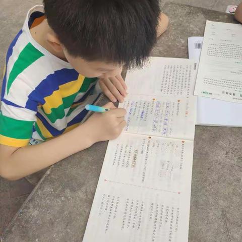 我和同学们的精彩假期