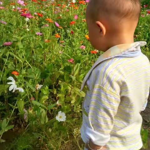 希望宝贝健康快乐的成长