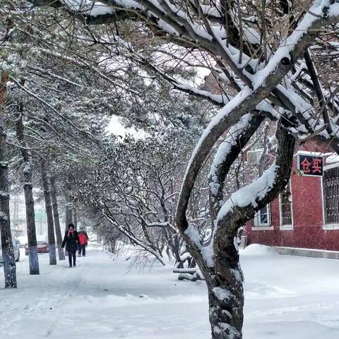 雪 花