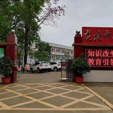 风好正是扬帆时,策马扬鞭再奋蹄——前进中的龙北中心小学