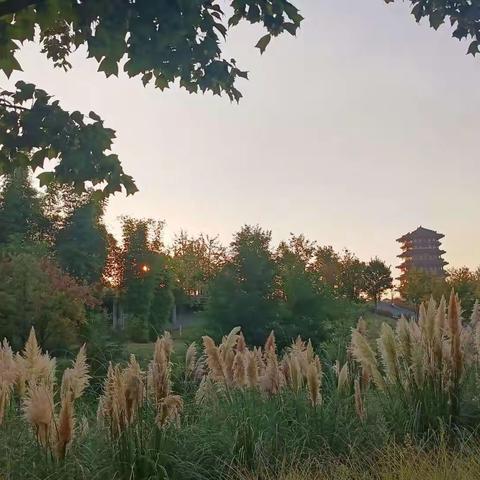 读张志和《渔父》诗