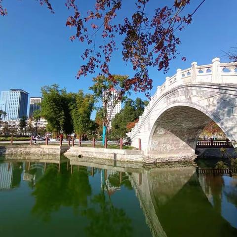 冬日暖阳中的莲花池公园