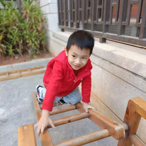 海口市琼山海航豪庭幼儿园《大一班》第十四周