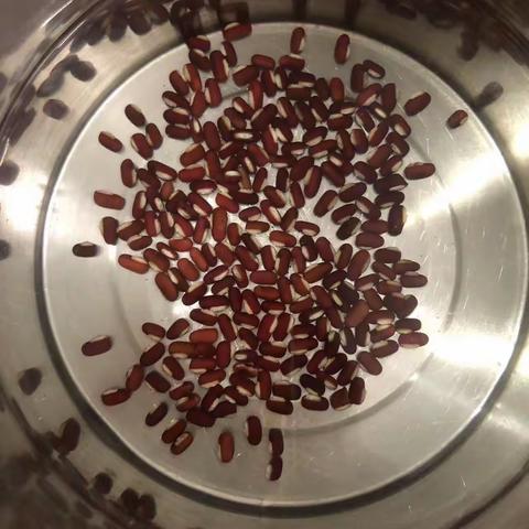 红豆能发芽吗？