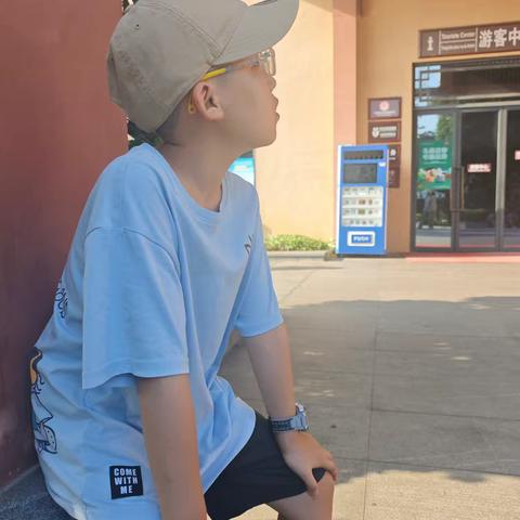 海风与花香交织的夏日之旅