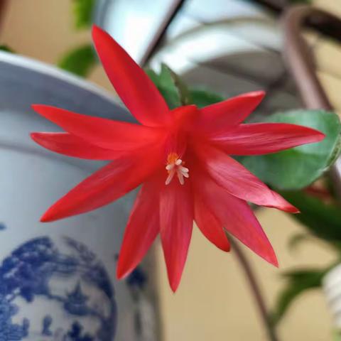 日记，匆匆这一年