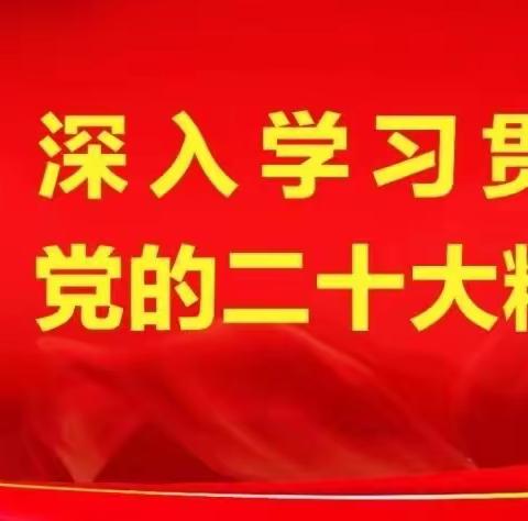 王陶镇2月17日工作动态