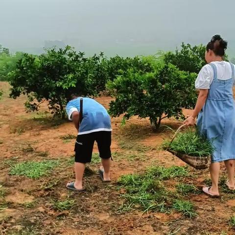 海阔天空小组周小结