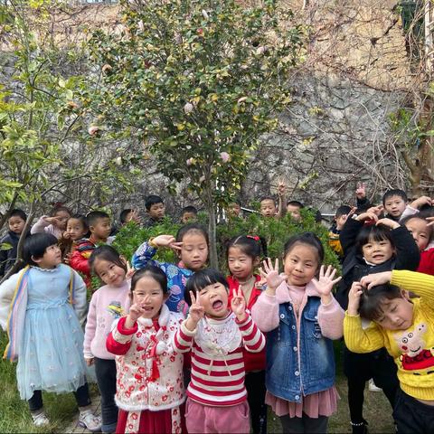 “认养一棵树，呵护一片绿”—阳光幼儿园中一班认养树木主题教育活动