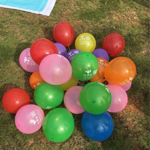 宜丰红黄蓝亲子园 禅文化园户外活动