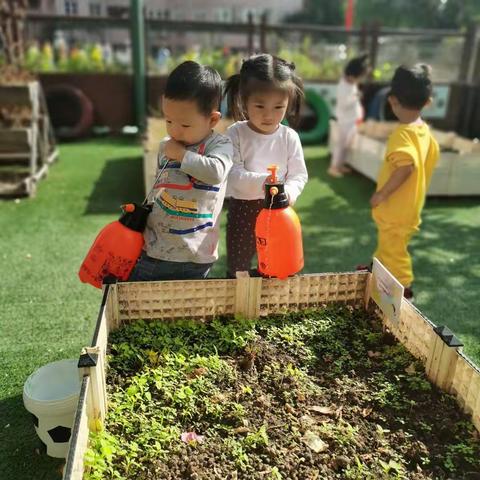 阳光灿烂🌸天气正好，我们来给小菜苗浇水啦…👻👻
