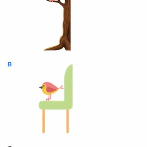 3.24英语错题讲解