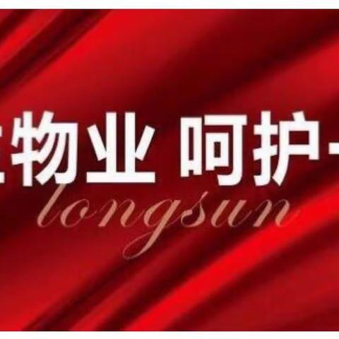 金山湖3区第四季度工作汇报