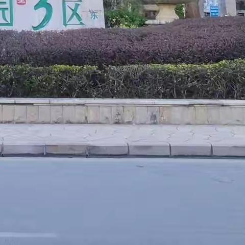 金山湖3区第四季度工作汇报