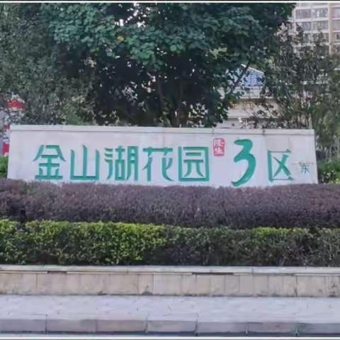 金山湖3区2021年第一季度工作汇报