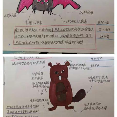 追溯根源 共同抗疫，我画你看！南乐县育才小学