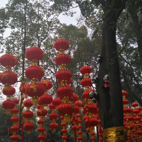 过年了