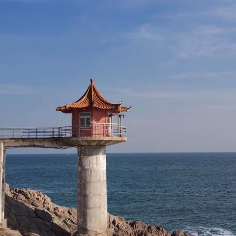 初春青岛小麦岛