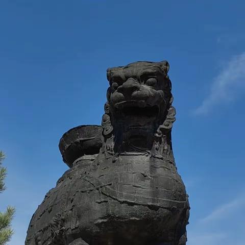 青岛行者的美篇