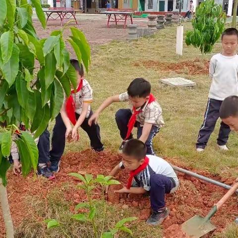 种下希望，收获成长，让梦想发芽——江西镇智信小学植树节活动