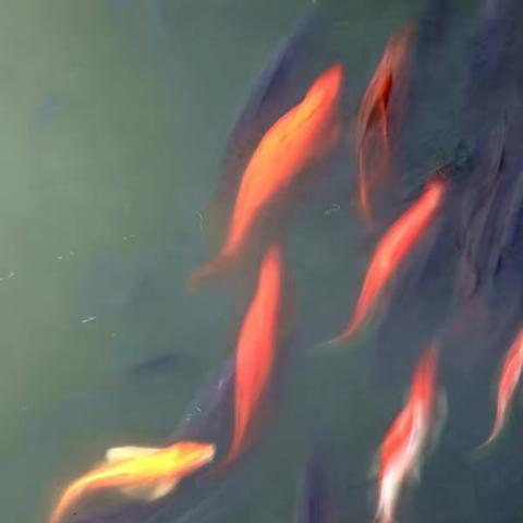 莲花山半日练手