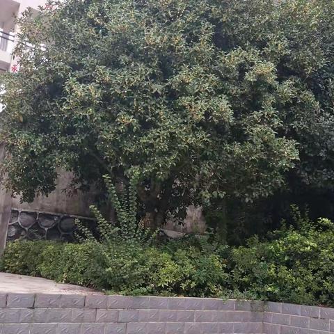 58班“我与国旗合个影”