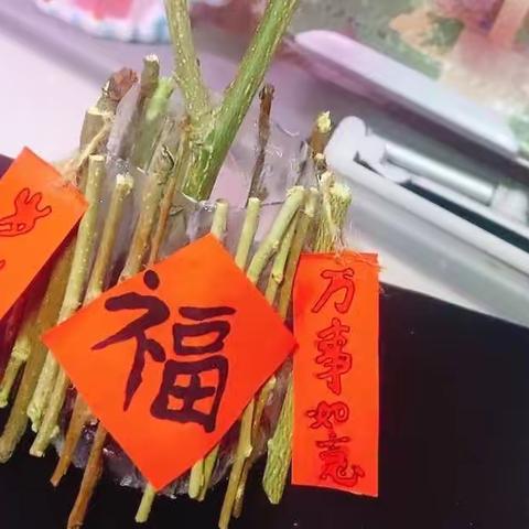 手工制作《柿柿如意》