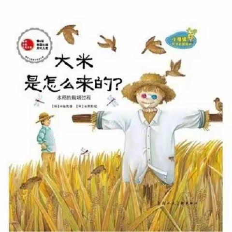 丽景湾华庭幼儿园中一班班本课程——“米”有秘密