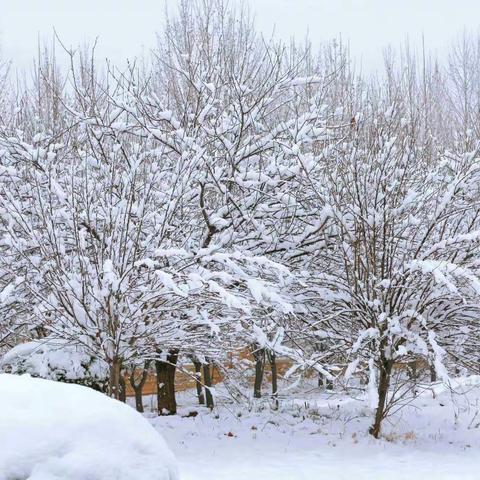 飘雪的日子