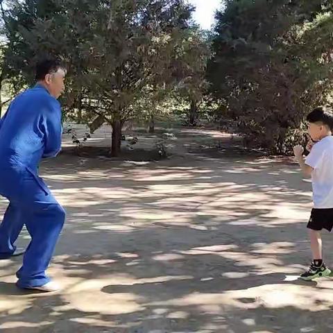 习武 健身 小少年