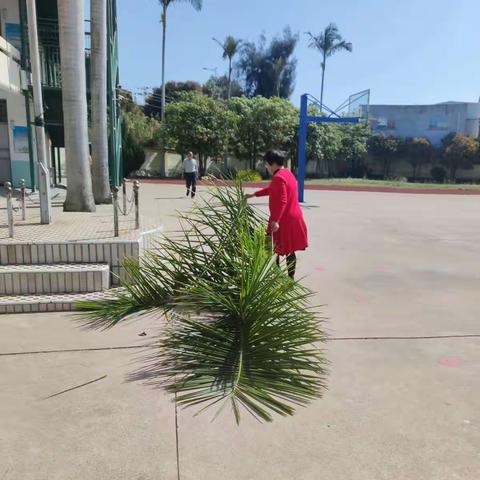 爱卫同行 清洁一新——龙海区海澄镇埭新小学开展爱国卫生运动