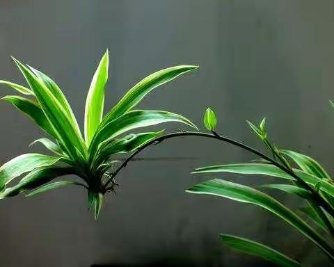 博采众长——语文组第二周听课评课教研活动。